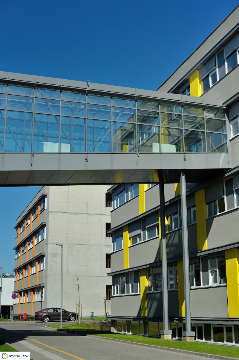 Tömbkórház épületeinek a felszentelése