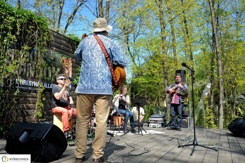 Andok Kalandok ünnepélyes megnyitója