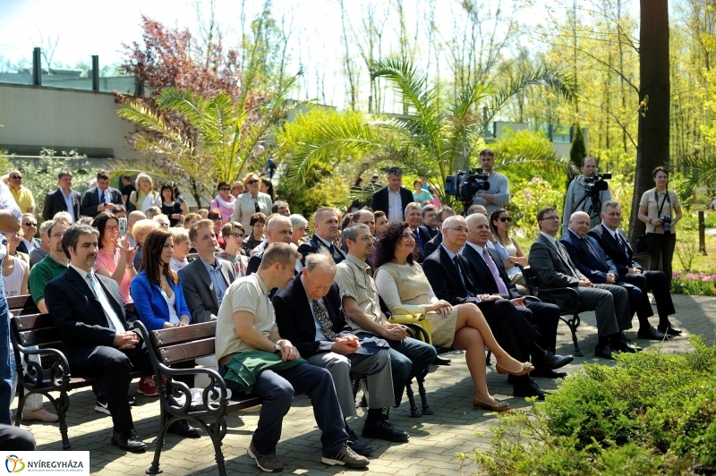 Andok Kalandok ünnepélyes megnyitója