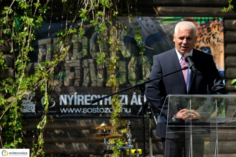 Andok Kalandok ünnepélyes megnyitója