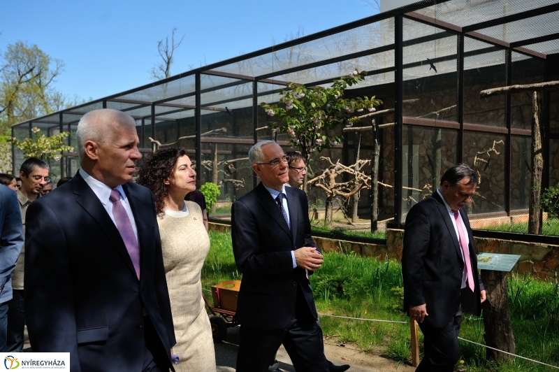 Andok Kalandok ünnepélyes megnyitója