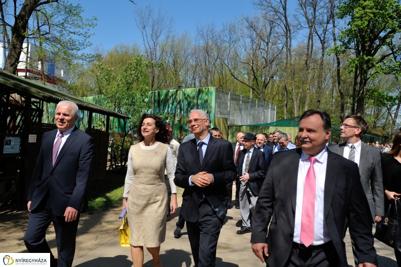 Andok Kalandok ünnepélyes megnyitója