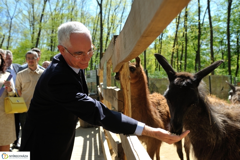 Andok Kalandok ünnepélyes megnyitója
