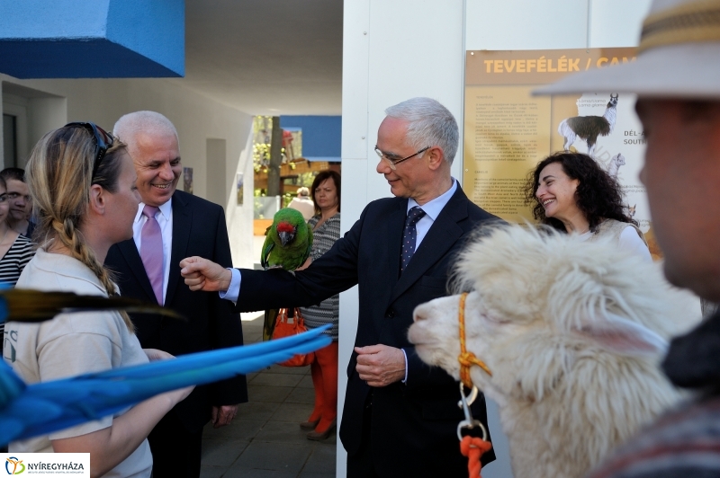 Andok Kalandok ünnepélyes megnyitója