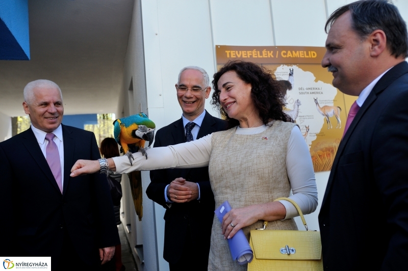 Andok Kalandok ünnepélyes megnyitója