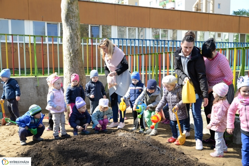 Faültetés, virágosítás az Eszterlánc óvodában