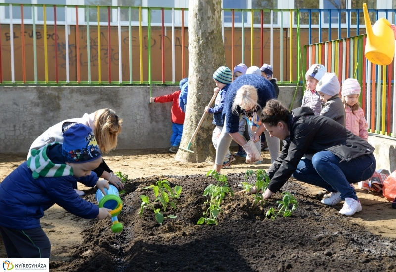 Faültetés, virágosítás az Eszterlánc óvodában