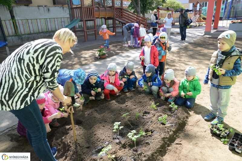 Faültetés, virágosítás az Eszterlánc óvodában