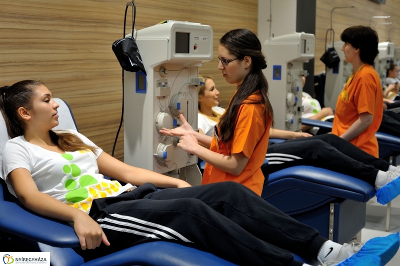 Vascular_Plazma ünnepélyes megnyitója