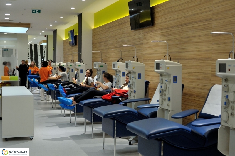 Vascular_Plazma ünnepélyes megnyitója