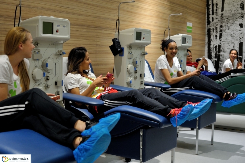 Vascular_Plazma ünnepélyes megnyitója