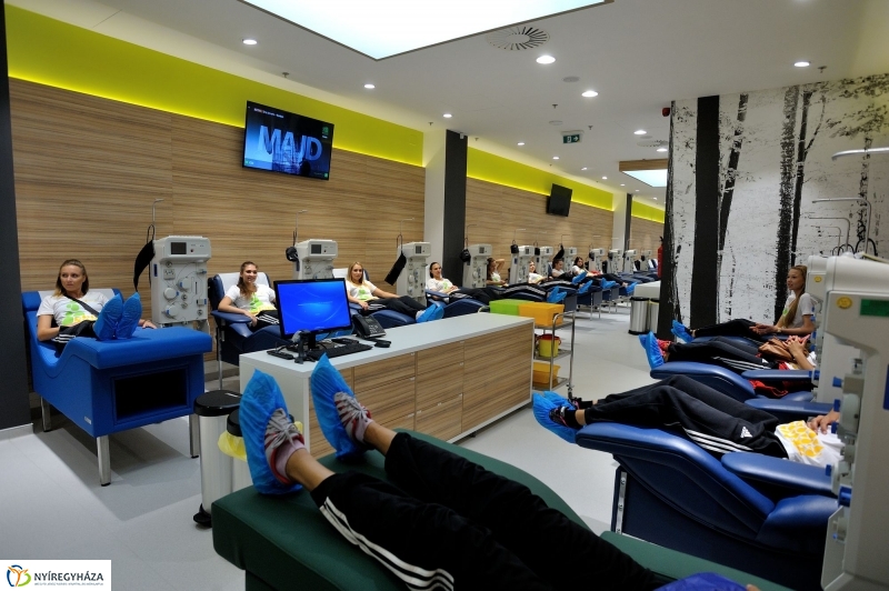 Vascular_Plazma ünnepélyes megnyitója