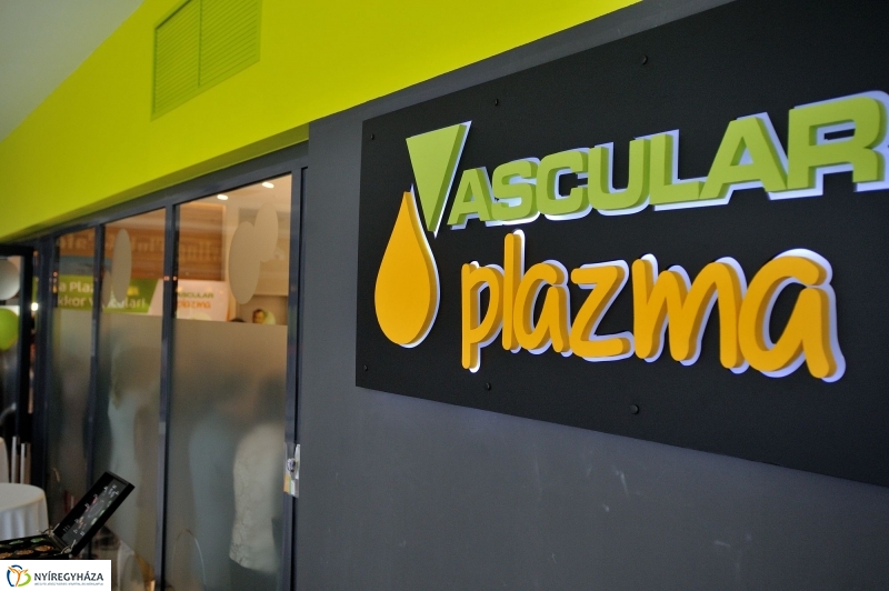 Vascular_Plazma ünnepélyes megnyitója