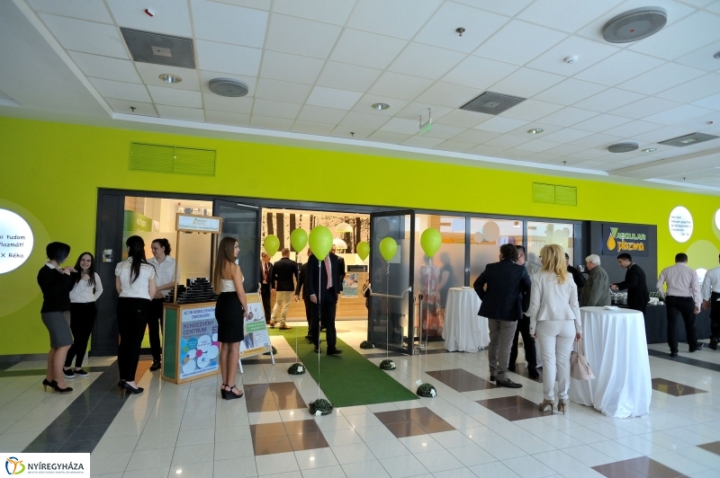 Vascular_Plazma ünnepélyes megnyitója