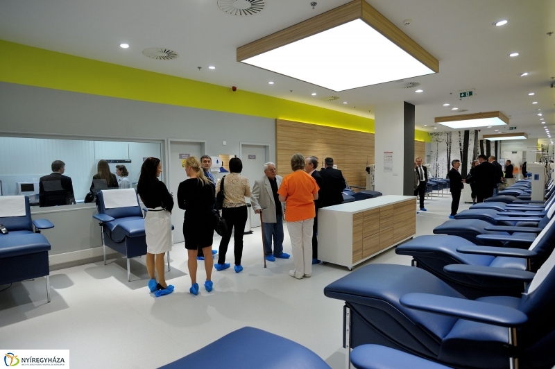 Vascular_Plazma ünnepélyes megnyitója