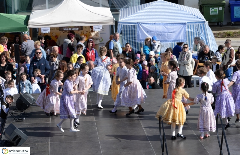 Civil sziget-színpadi produkciók a Helló Nyíregyháza keretében