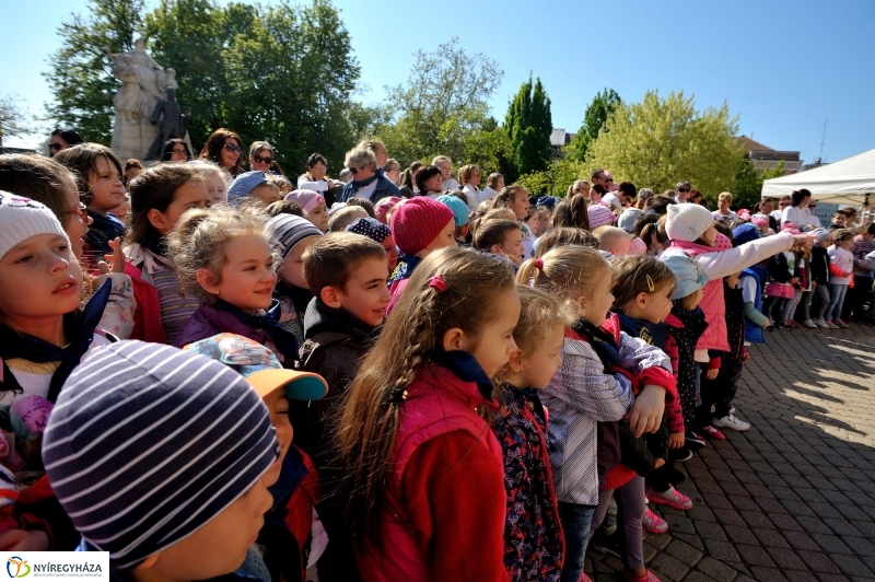 Helló Nyíregyháza megnyitó