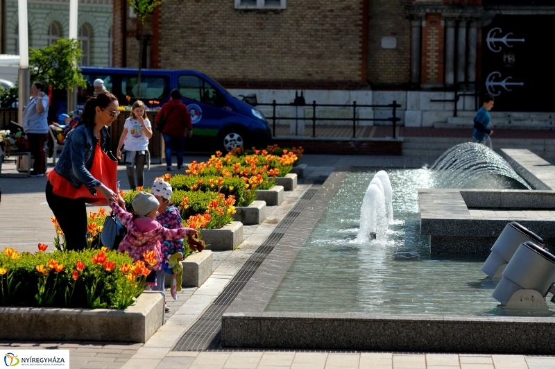 Működnek a szökőkutak