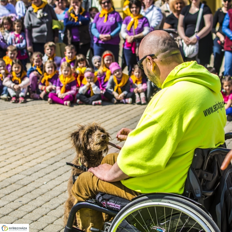 NEO Magyar Segítőkutya Egyesület bemutatója