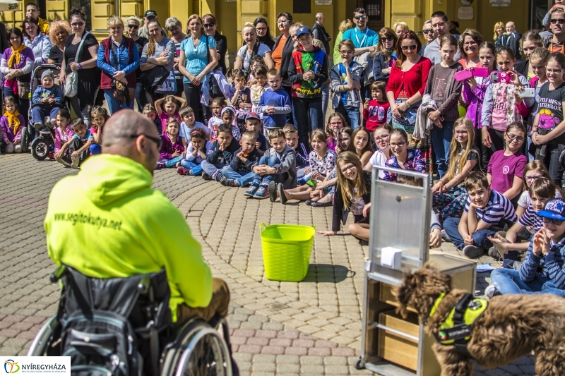NEO Magyar Segítőkutya Egyesület bemutatója