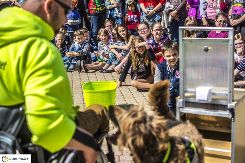 NEO Magyar Segítőkutya Egyesület bemutatója