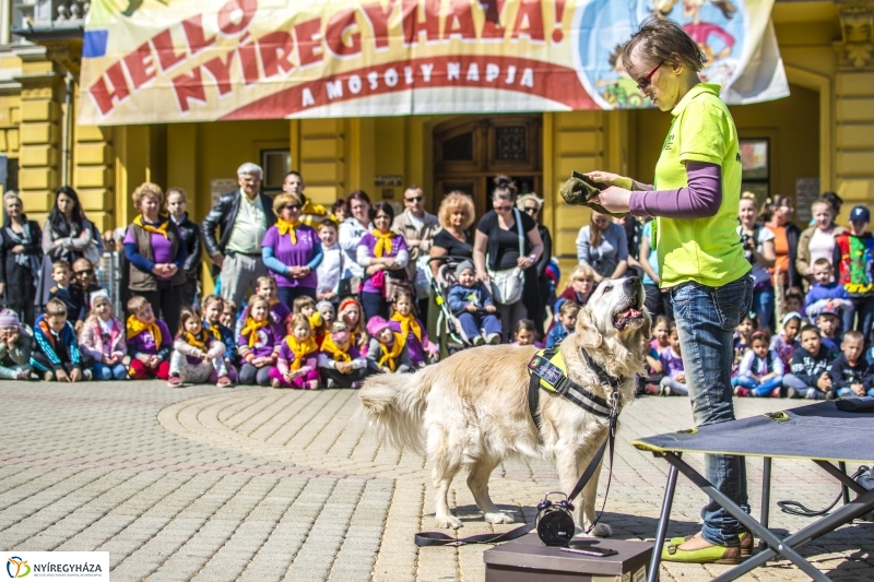 NEO Magyar Segítőkutya Egyesület bemutatója