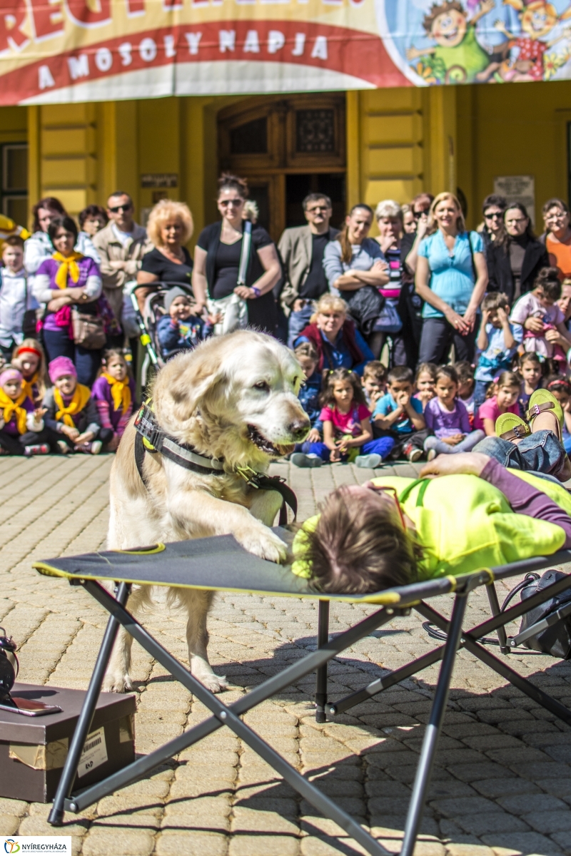 NEO Magyar Segítőkutya Egyesület bemutatója