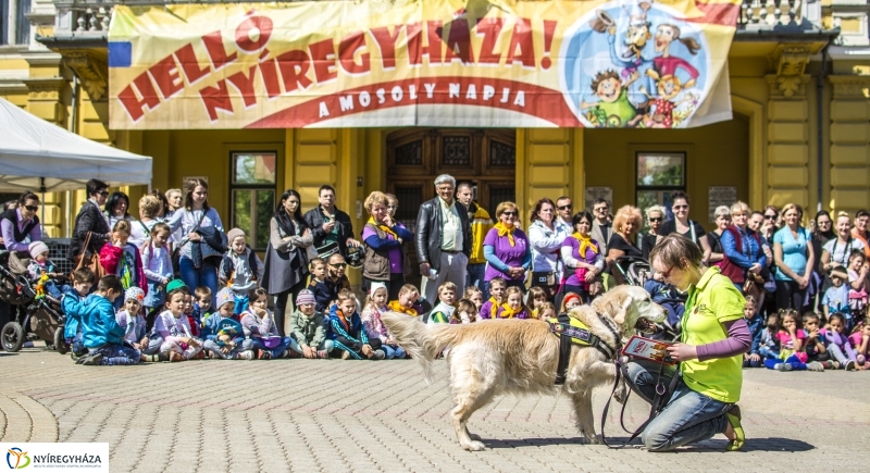 NEO Magyar Segítőkutya Egyesület bemutatója