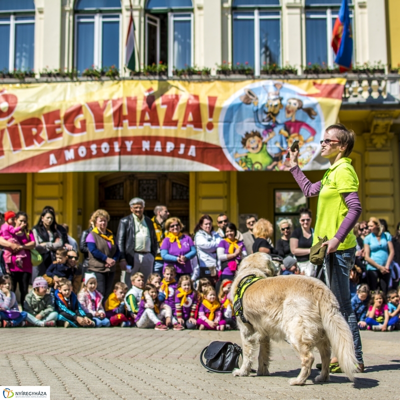 NEO Magyar Segítőkutya Egyesület bemutatója