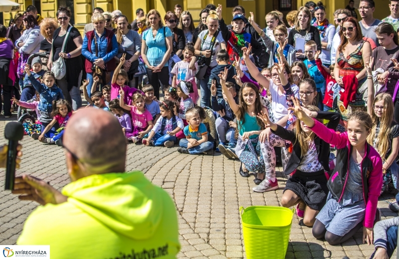 NEO Magyar Segítőkutya Egyesület bemutatója