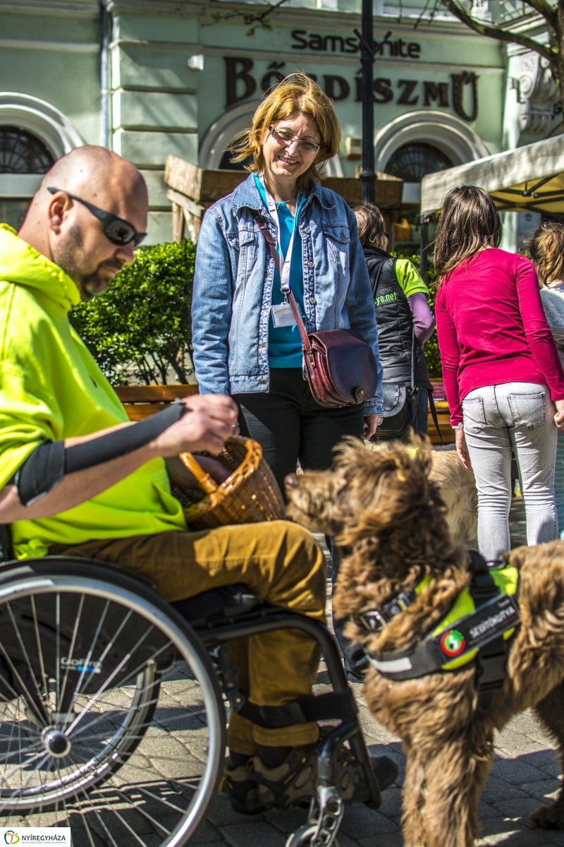 NEO Magyar Segítőkutya Egyesület bemutatója