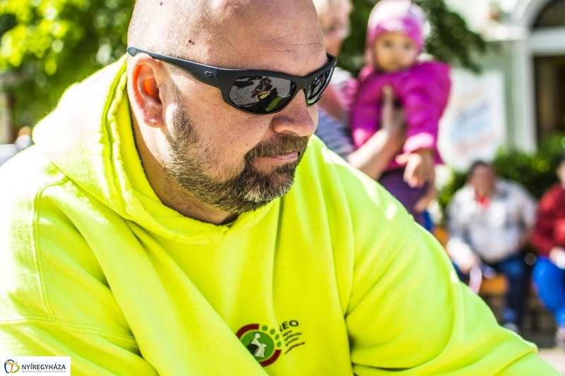 NEO Magyar Segítőkutya Egyesület bemutatója