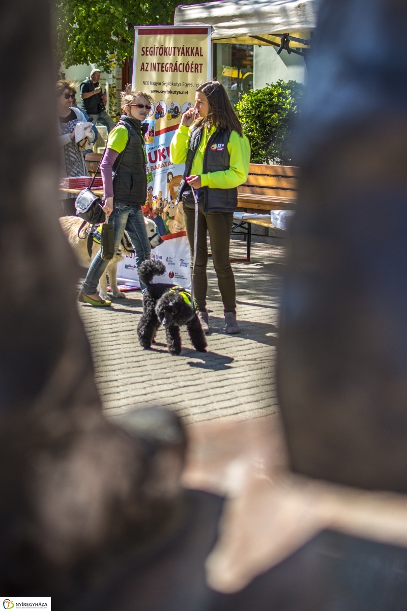 NEO Magyar Segítőkutya Egyesület bemutatója
