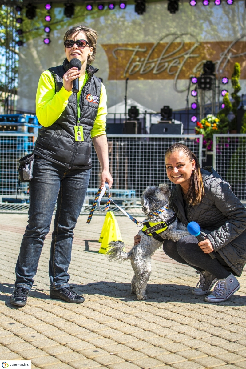 NEO Magyar Segítőkutya Egyesület bemutatója