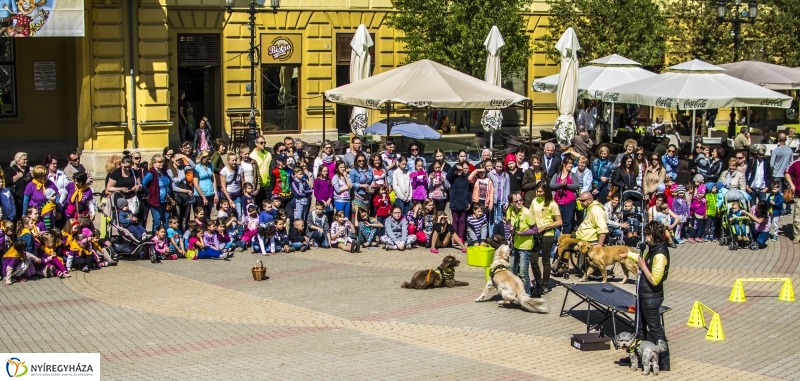 NEO Magyar Segítőkutya Egyesület bemutatója