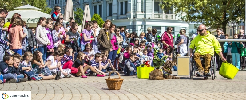 NEO Magyar Segítőkutya Egyesület bemutatója
