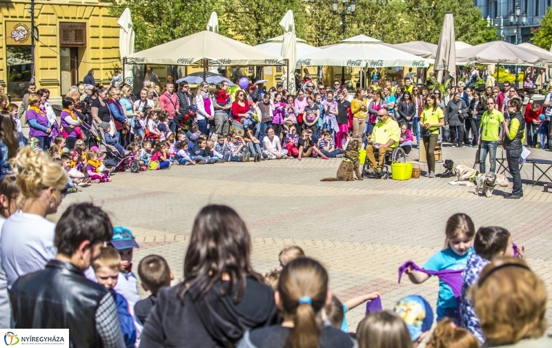 NEO Magyar Segítőkutya Egyesület bemutatója
