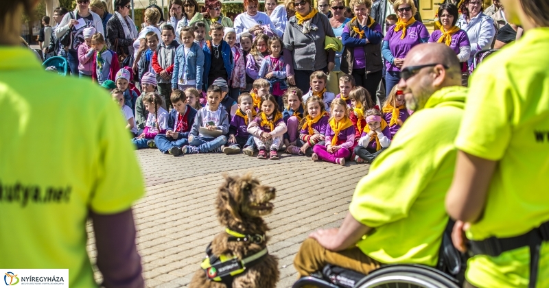 NEO Magyar Segítőkutya Egyesület bemutatója