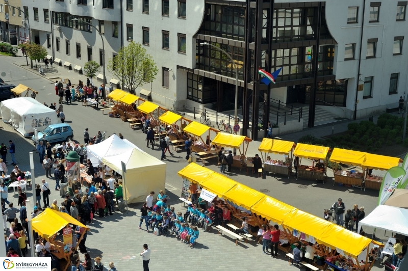 Helló Nyíregyháza Civil Sziget