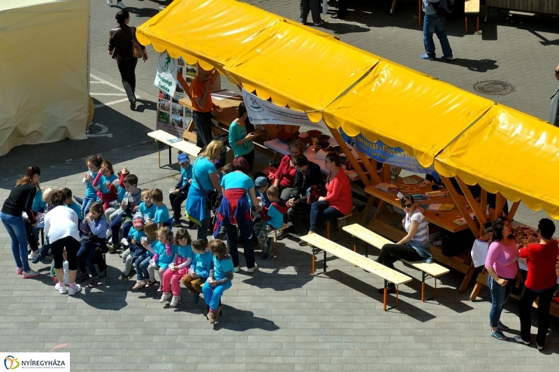 Helló Nyíregyháza Civil Sziget