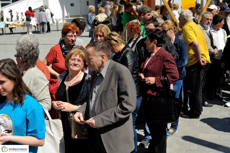 Helló Nyíregyháza Civil Sziget