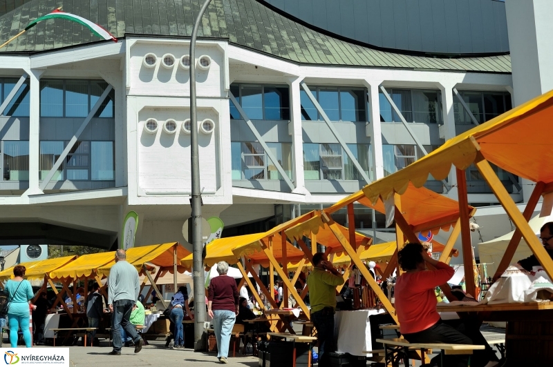 Helló Nyíregyháza Civil Sziget