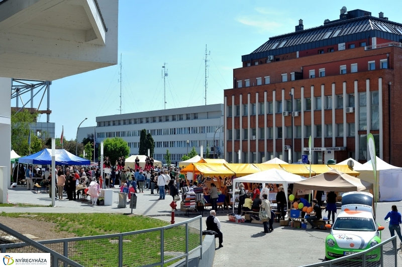 Helló Nyíregyháza Civil Sziget
