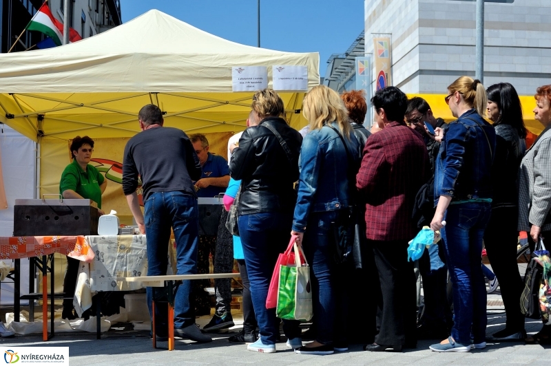 Helló Nyíregyháza Civil Sziget