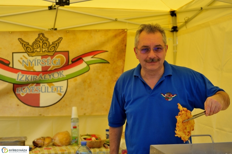 Helló Nyíregyháza Civil Sziget