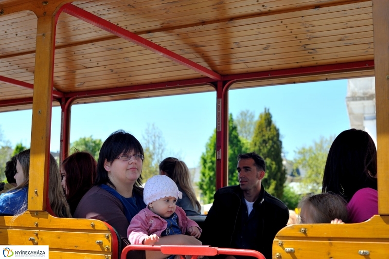 Helló Nyíregyháza Könyvsziget