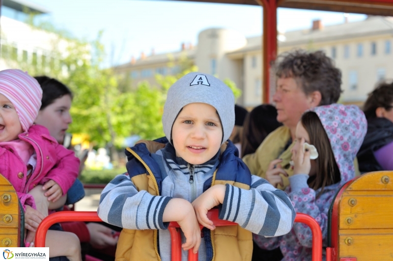 Helló Nyíregyháza Könyvsziget