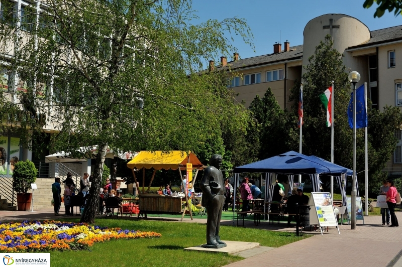 Helló Nyíregyháza Könyvsziget