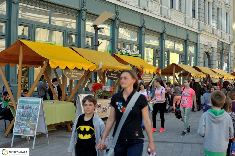 Helló Nyíregyháza Szakmák utcája