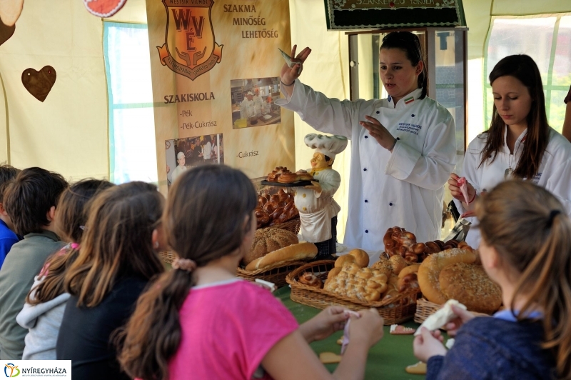 Helló Nyíregyháza Szakmák utcája